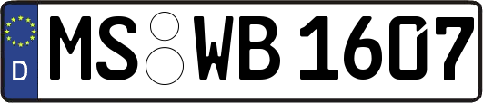 MS-WB1607