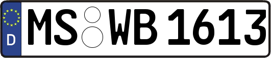 MS-WB1613