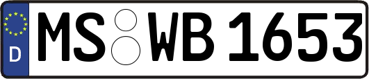 MS-WB1653