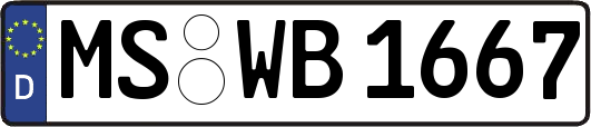 MS-WB1667
