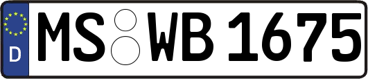 MS-WB1675