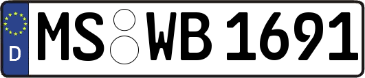 MS-WB1691