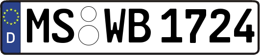 MS-WB1724