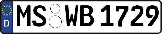 MS-WB1729