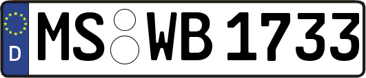 MS-WB1733