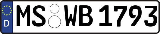 MS-WB1793