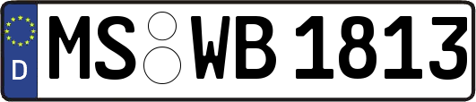 MS-WB1813