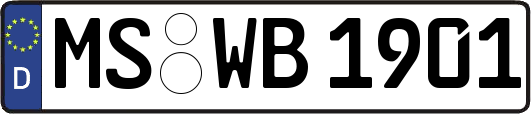 MS-WB1901