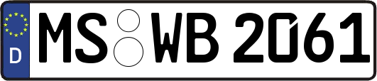MS-WB2061