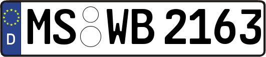MS-WB2163