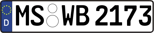 MS-WB2173