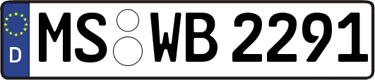 MS-WB2291