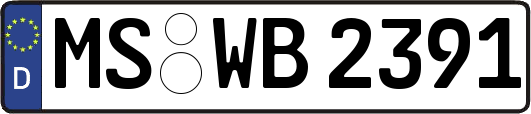 MS-WB2391
