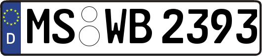 MS-WB2393