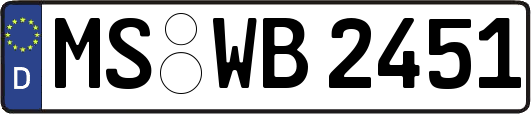 MS-WB2451