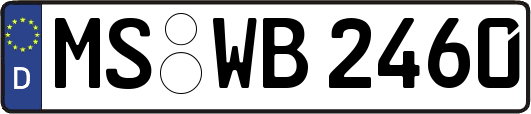 MS-WB2460