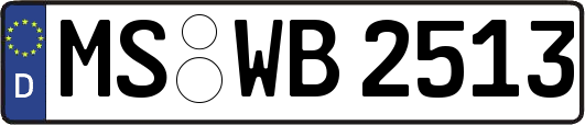 MS-WB2513