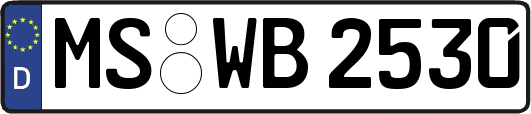 MS-WB2530