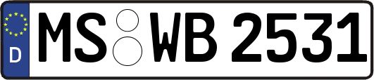 MS-WB2531