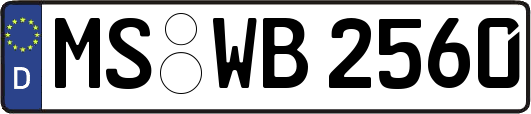 MS-WB2560