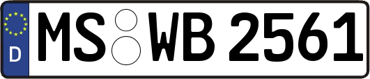 MS-WB2561