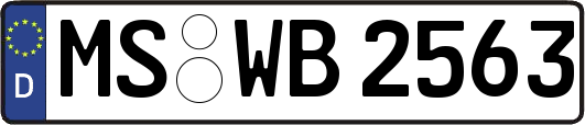 MS-WB2563