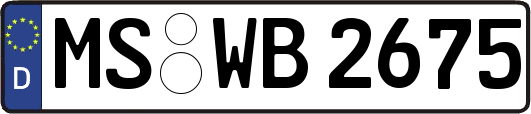 MS-WB2675