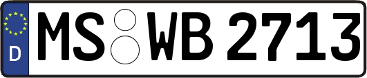 MS-WB2713
