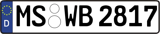 MS-WB2817