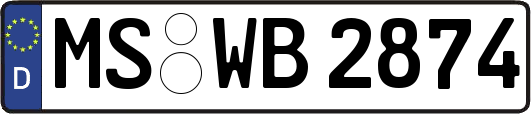 MS-WB2874