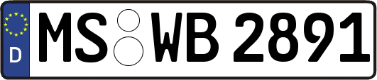 MS-WB2891