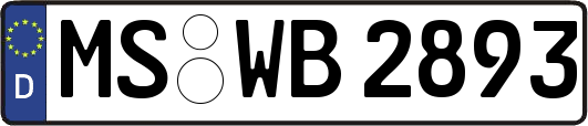 MS-WB2893