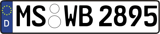 MS-WB2895