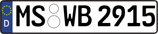 MS-WB2915