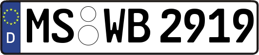 MS-WB2919