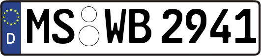 MS-WB2941