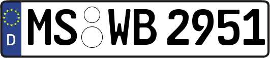 MS-WB2951