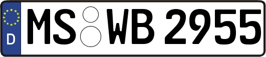 MS-WB2955