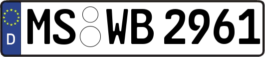 MS-WB2961