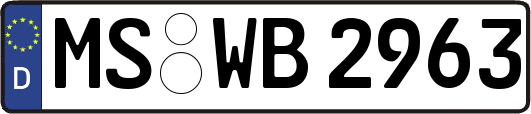 MS-WB2963