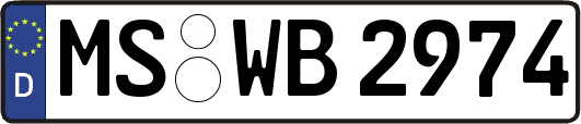 MS-WB2974