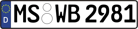 MS-WB2981