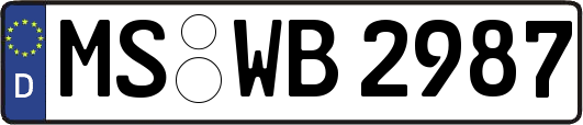 MS-WB2987
