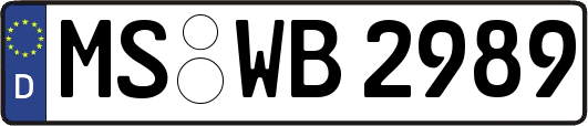 MS-WB2989
