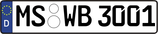 MS-WB3001