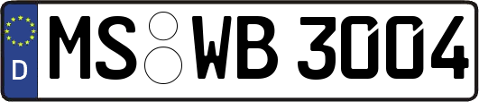 MS-WB3004
