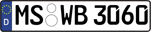 MS-WB3060