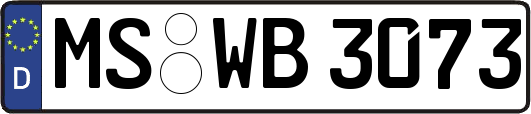 MS-WB3073