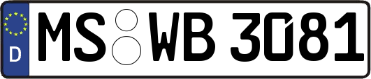 MS-WB3081