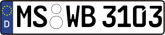 MS-WB3103